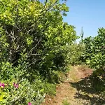 بيت للعطل 5538-hvide-sande-skodbjergevej-2