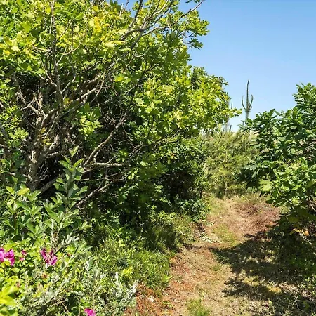 5538-hvide-sande-skodbjergevej-2 Tatil Evi Havrvig