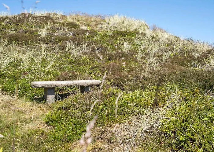 5538-hvide-sande-skodbjergevej-2 Dom wakacyjny Havrvig