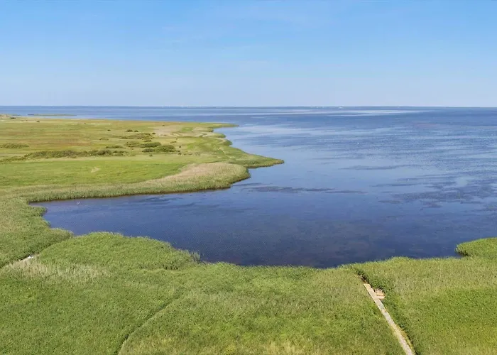 Dom wakacyjny 5538-hvide-sande-skodbjergevej-2